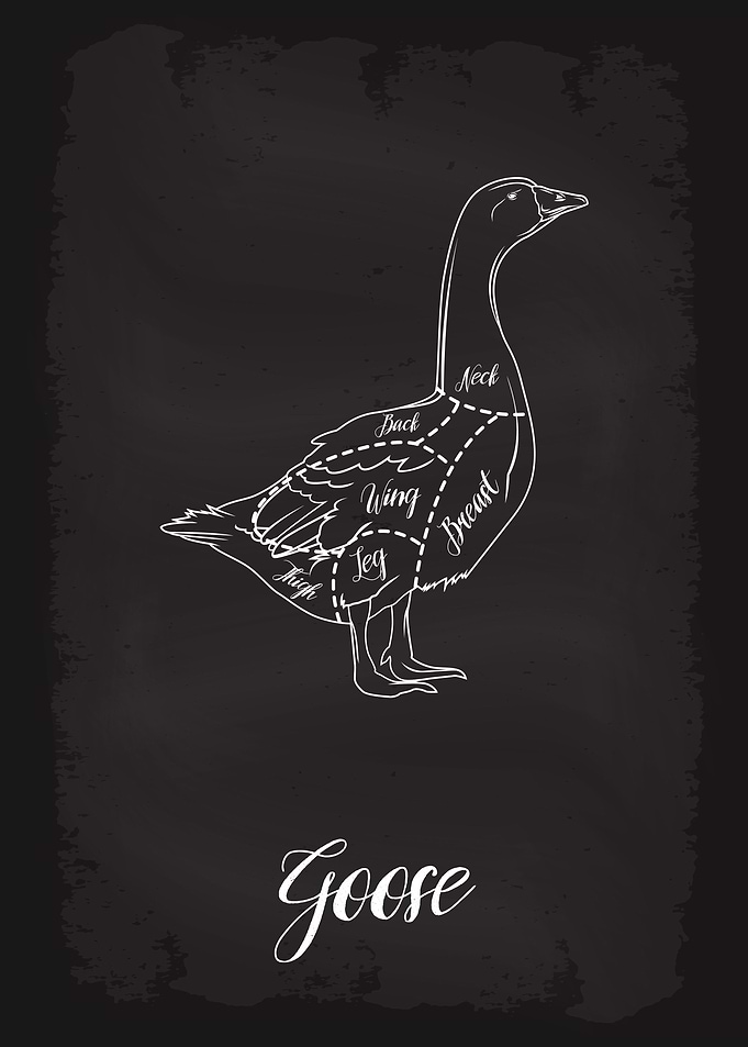 Butcher Cuts of Goose