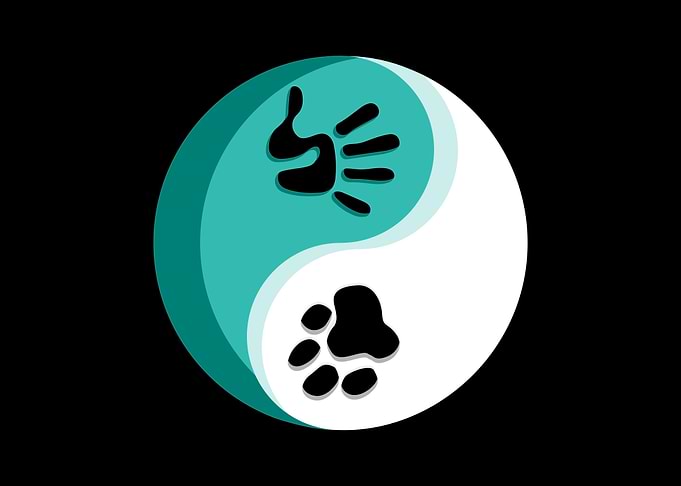 Qigong Taichi
