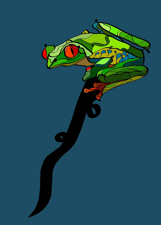 Australian green tree frog