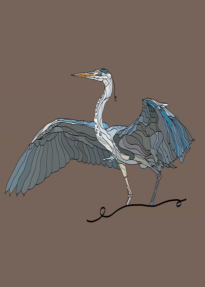 Grey heron illustration