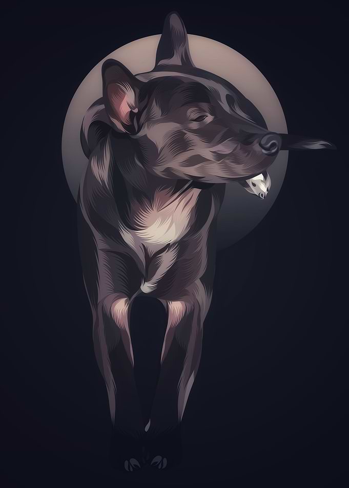 Thai Ridgeback