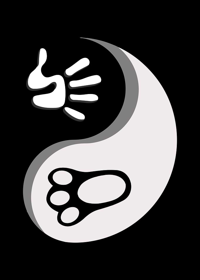 Qigong Taichi
