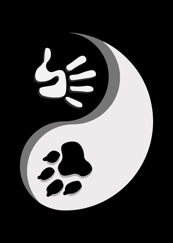 Qigong Taichi