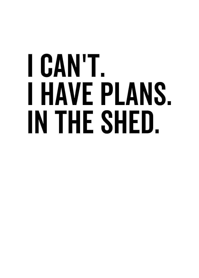 I Cant I Have Plans In