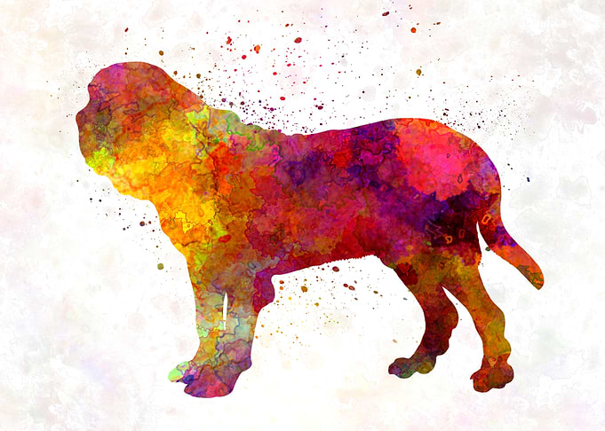 Fila Brasileiro