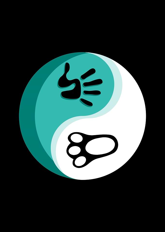 Qigong Taichi