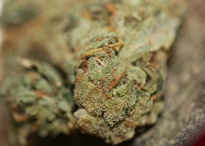 Medical cannabis marihuana