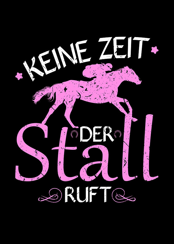 Reiten Geschenke Pferde