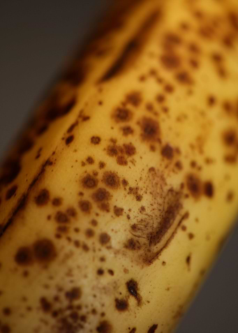 Banana fruit skin close up