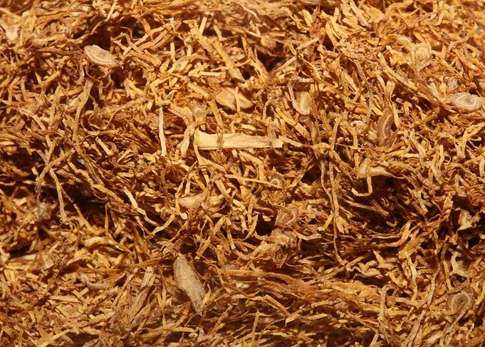 Albanian rolling tobacco