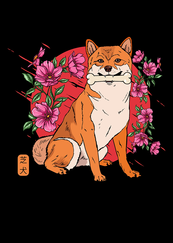 Shiba Inu