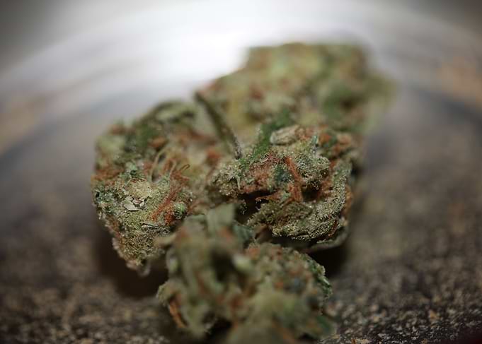 Medical cannabis marihuana