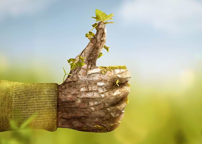 Nature Thumbs Up
