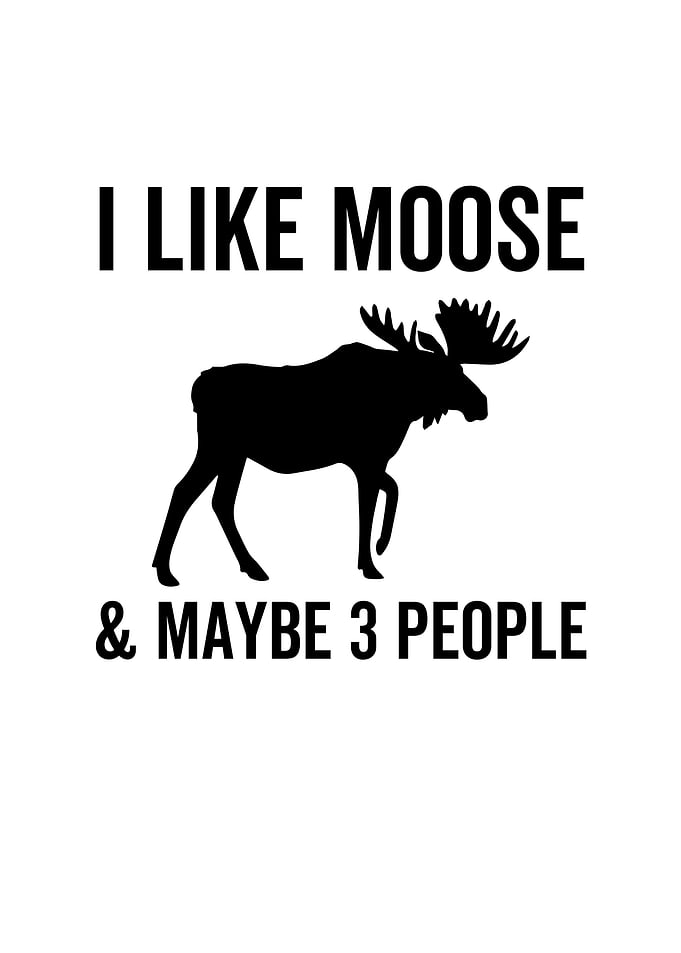 I Like Moose And Maybe 3