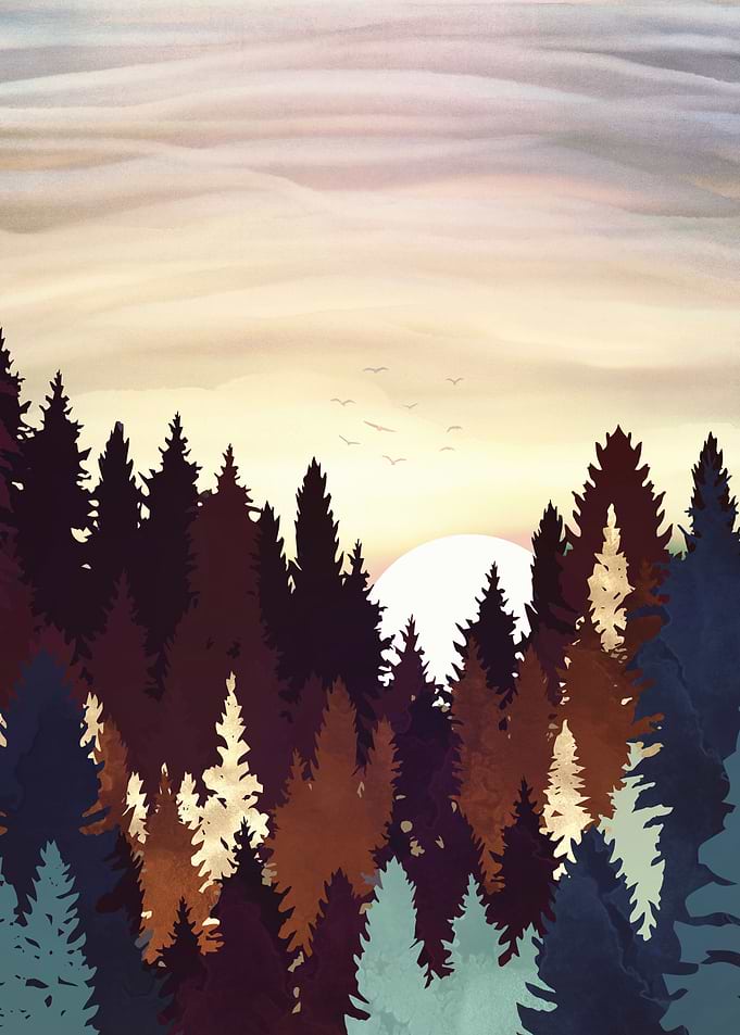 Autumn Forest Sunset