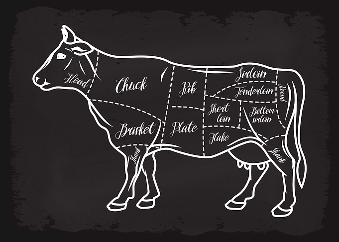 Butcher Cuts of Beef Cow