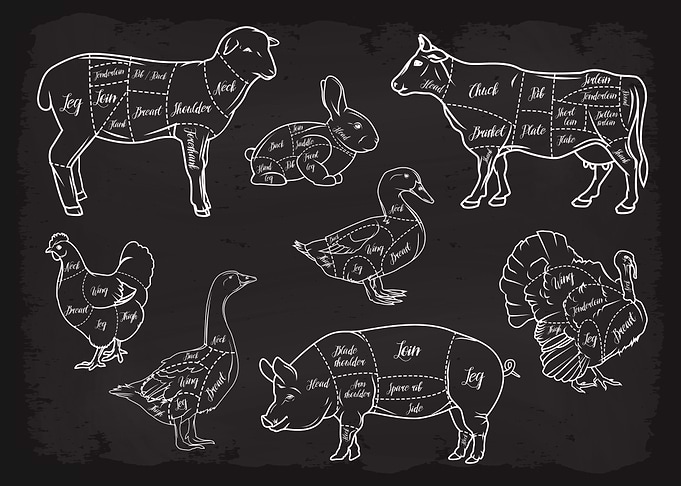 Butcher Cuts Guide