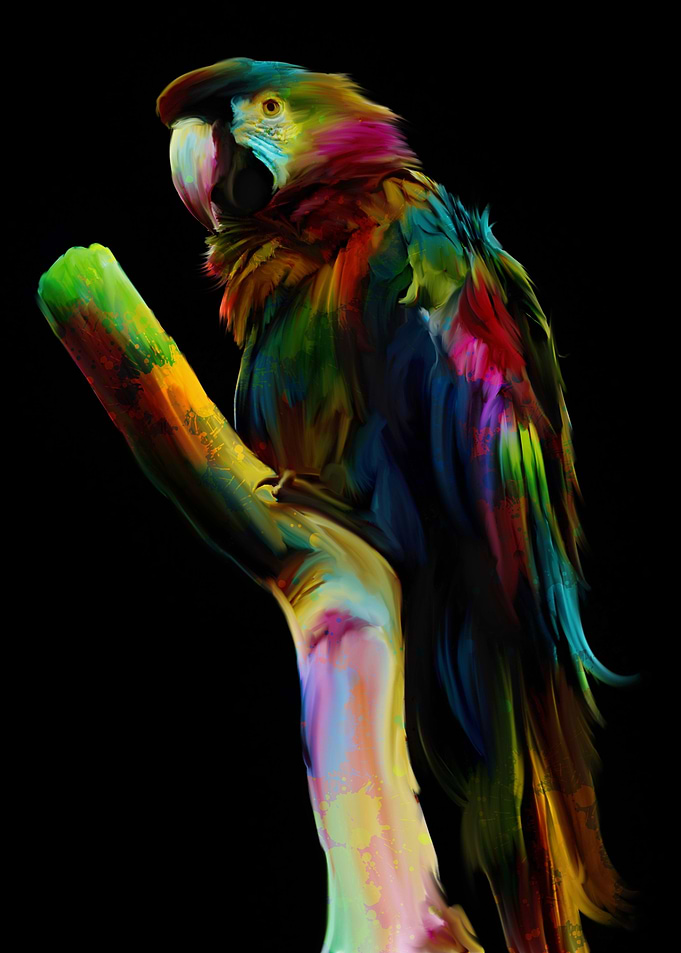 Parrot v2