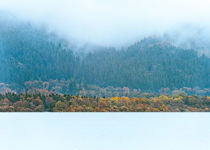 Cabin on the lake