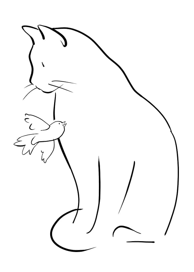 Cat and bird