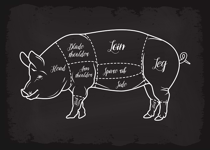 Butcher Cuts of Pork