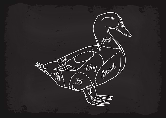 Butcher Cuts of Duck