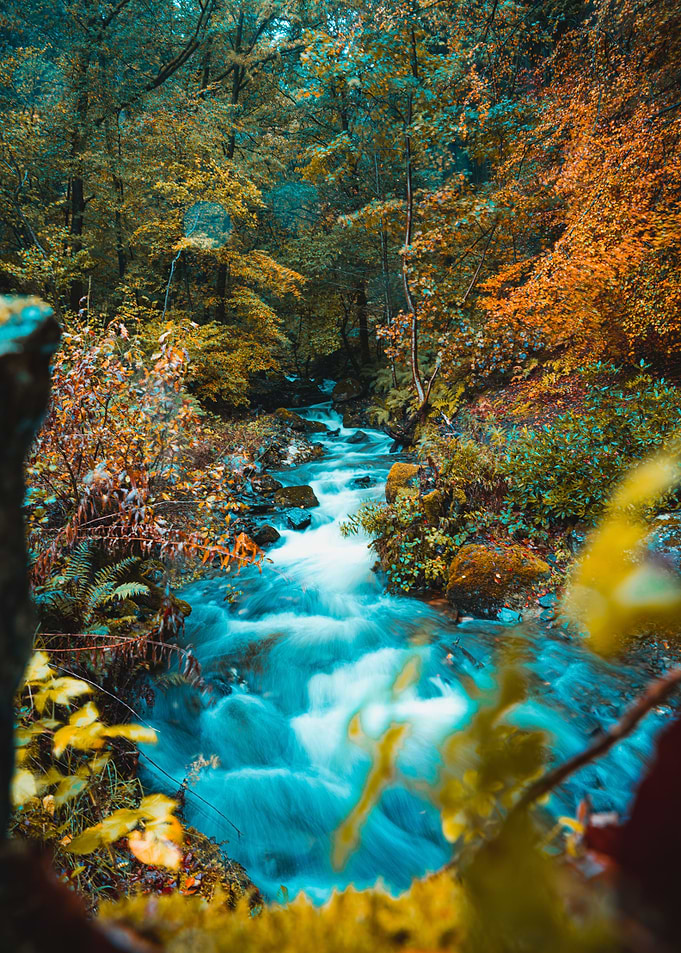 Autumn stream