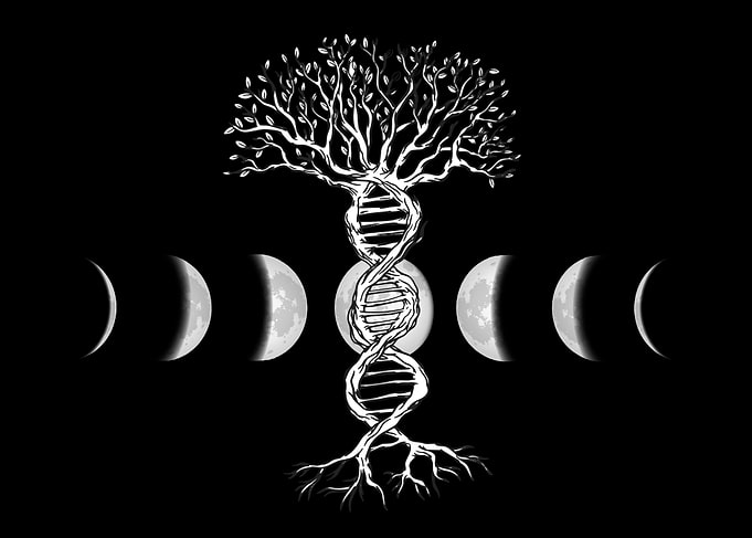 DNA tree of life moon