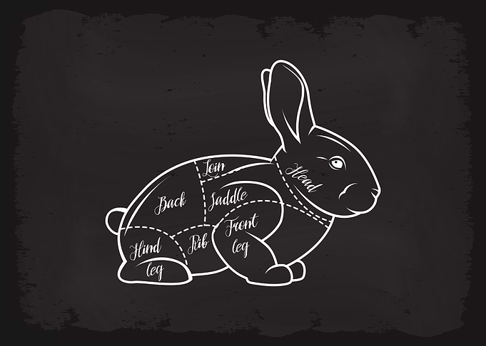 Butcher Cuts of Rabbit