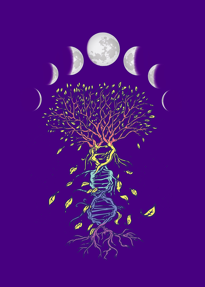 Moon phase DNA tree