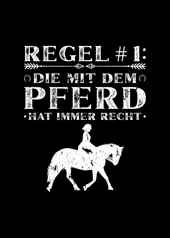 Pferde Reiten