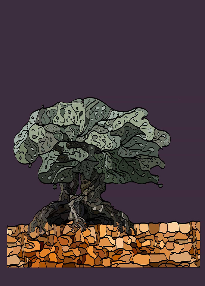 Millennial Olive Tree