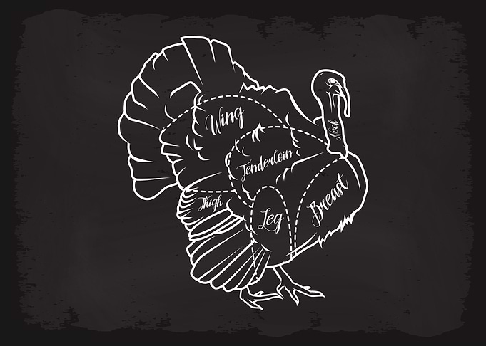 Butcher Cuts of Turkey