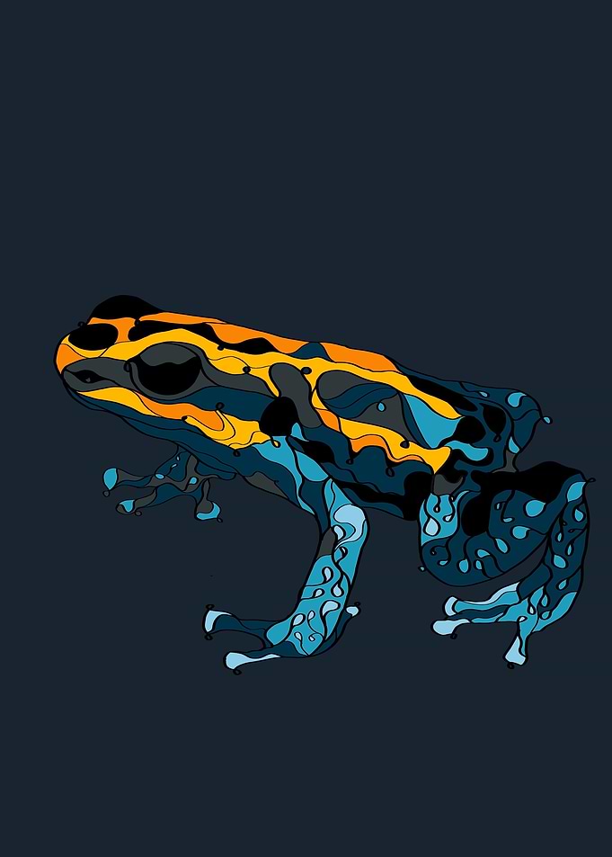 Blue poison dart frog
