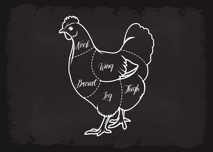 Butcher Cuts of Chicken