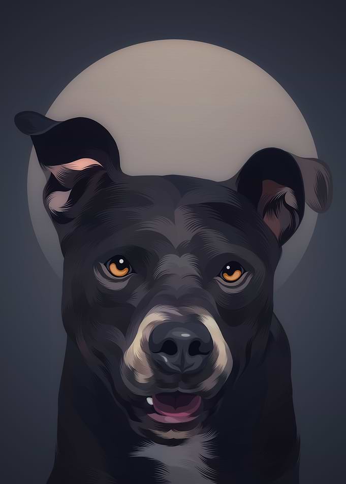 Pit Bull 3