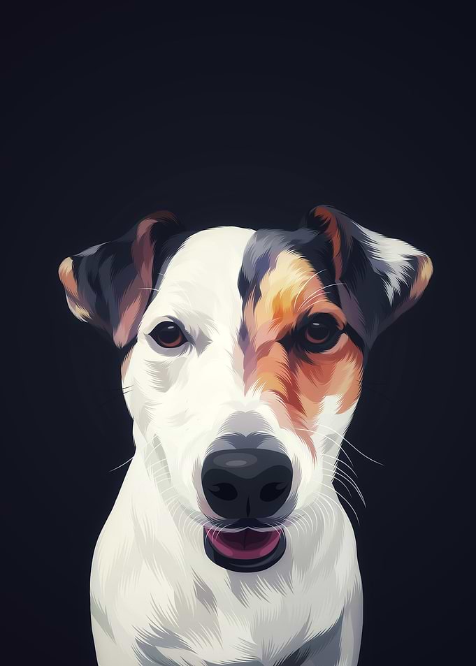 Jack Russell Terrier 4