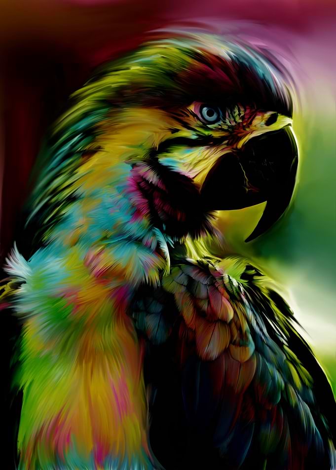 Parrot