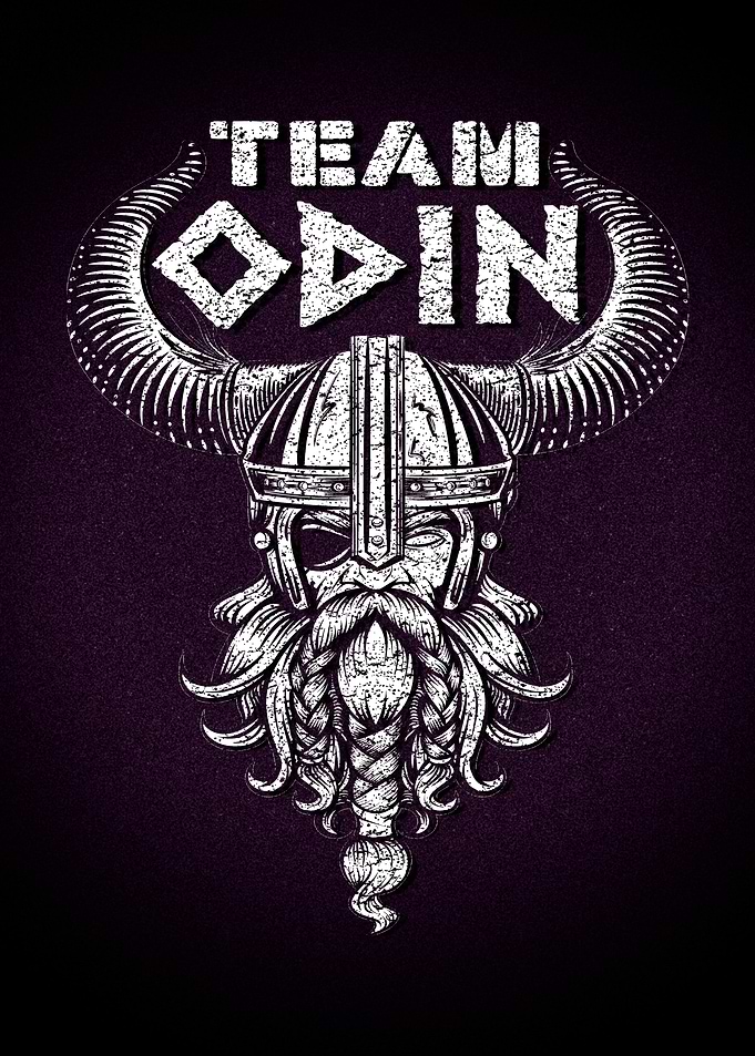 Viking God Team Odin