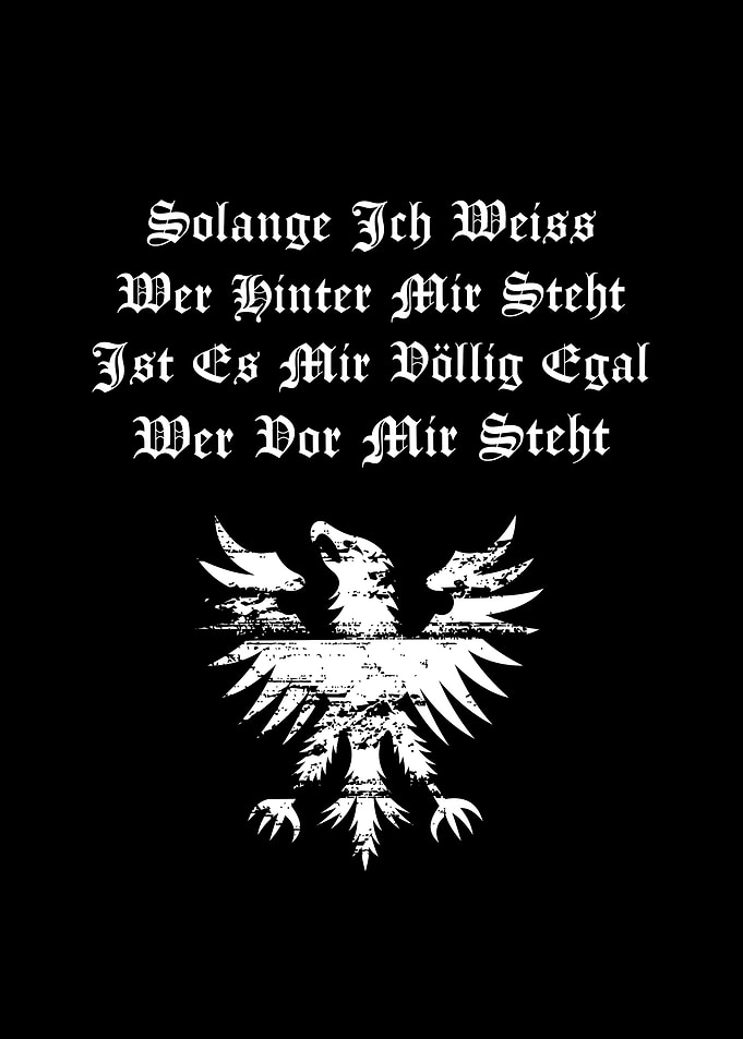 Nordic Viking Warrior