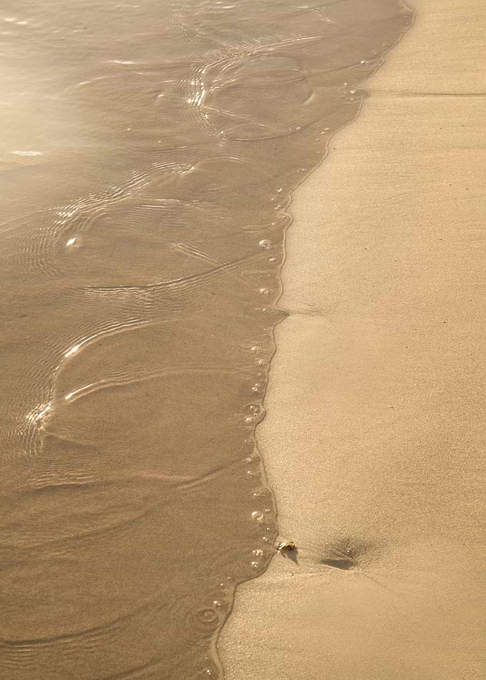 Soft Golden Ocean Dream 1