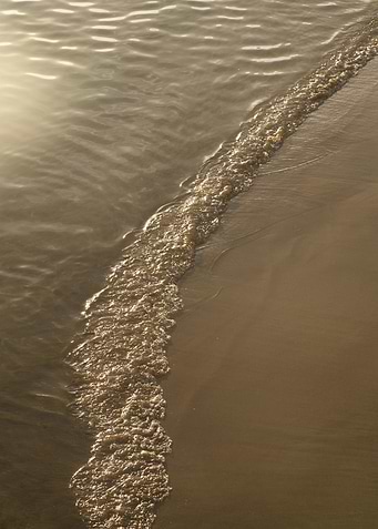 Golden Ocean Dream 1