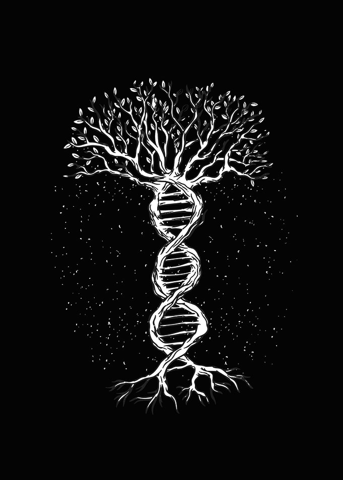 Tree of life