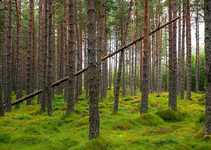 Cairngorms National Park