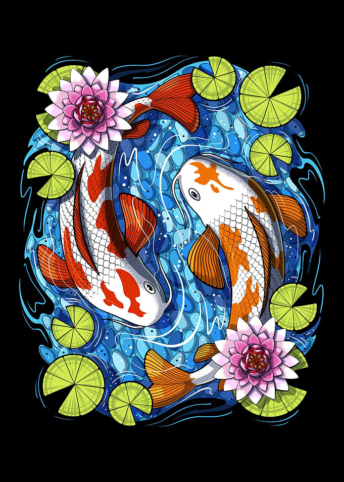 Japanese Koi Fish