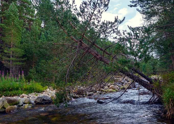 Shady side of a River