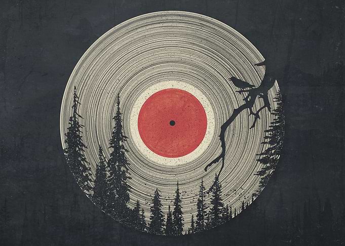 Forest Silence
