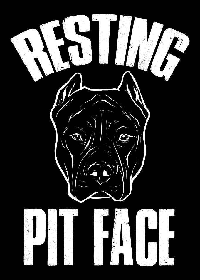 Pitbull Pit Bull Terrier