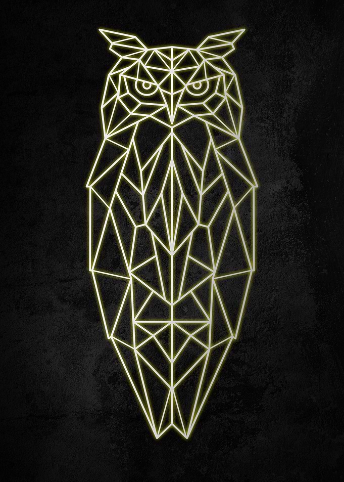 Owl Outline