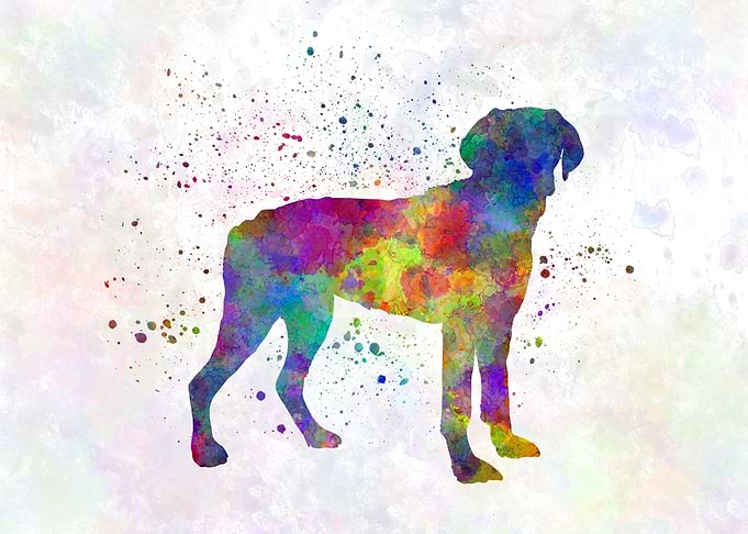 Halden Hound dog